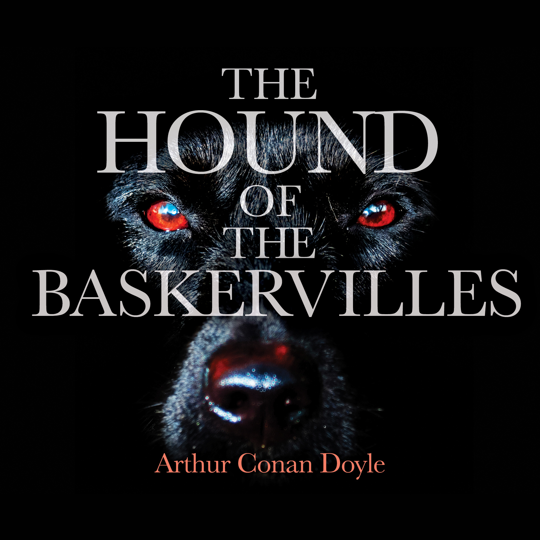 Nice wallpapers The Hound Of The Baskervilles 1877x1877px