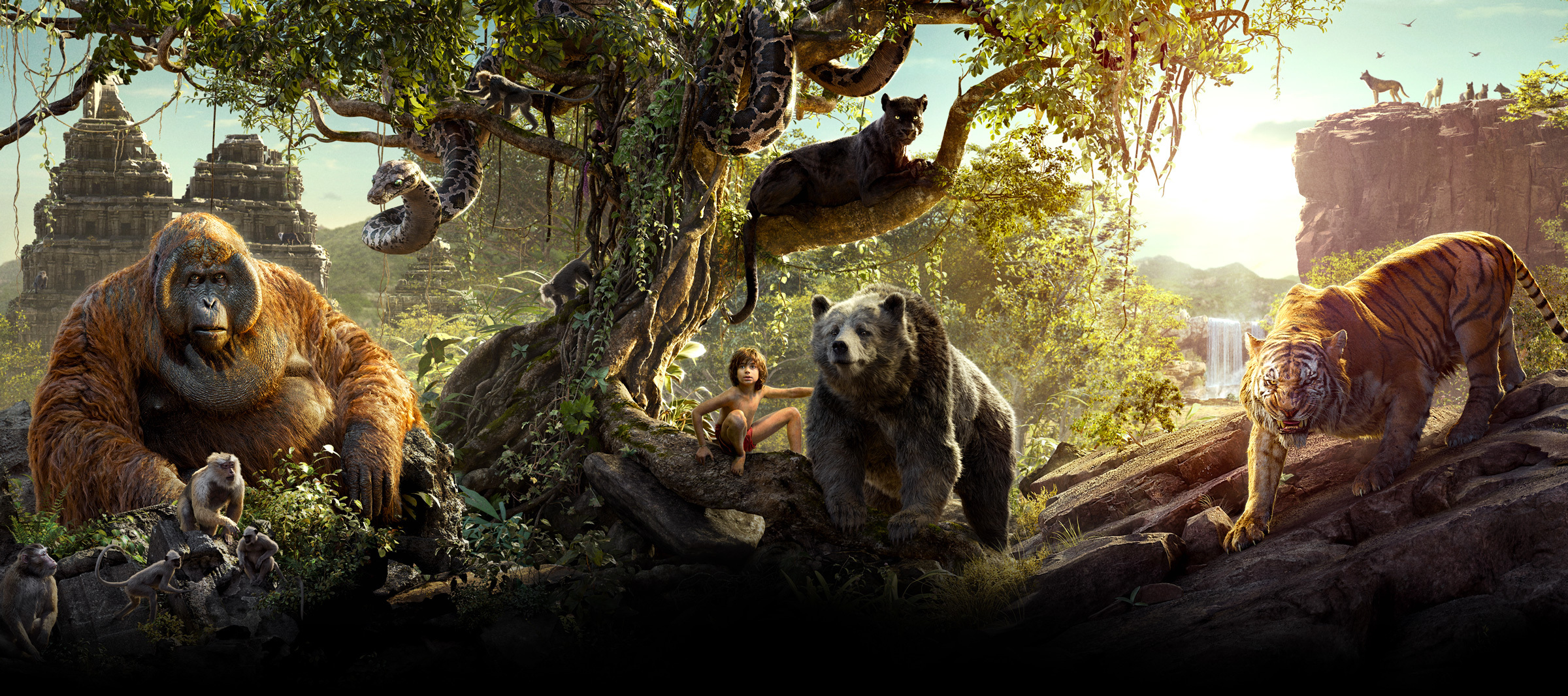 Nice Images Collection: The Jungle Book Desktop Wallpapers