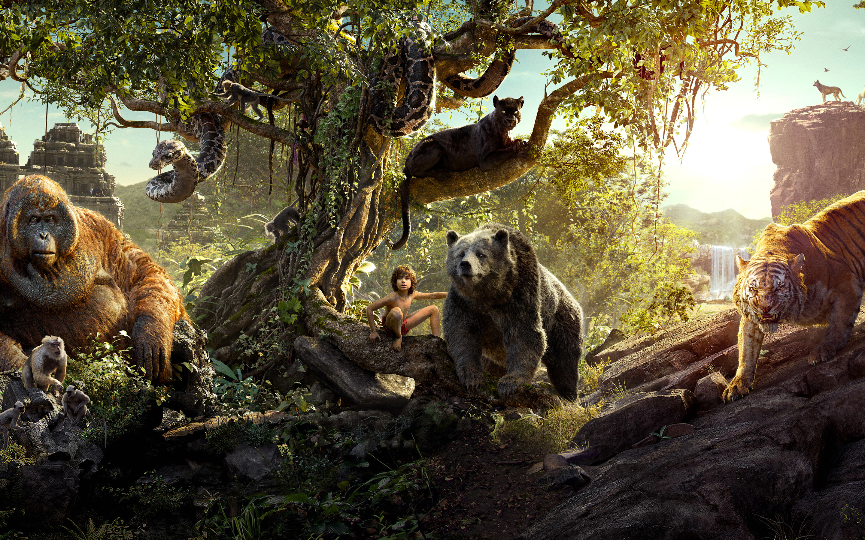Nice Images Collection: The Jungle Book (2016) Desktop Wallpapers
