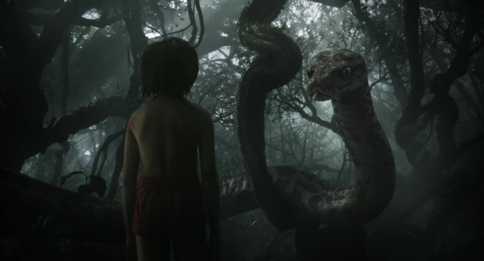 Images of The Jungle Book | 1920x1036
