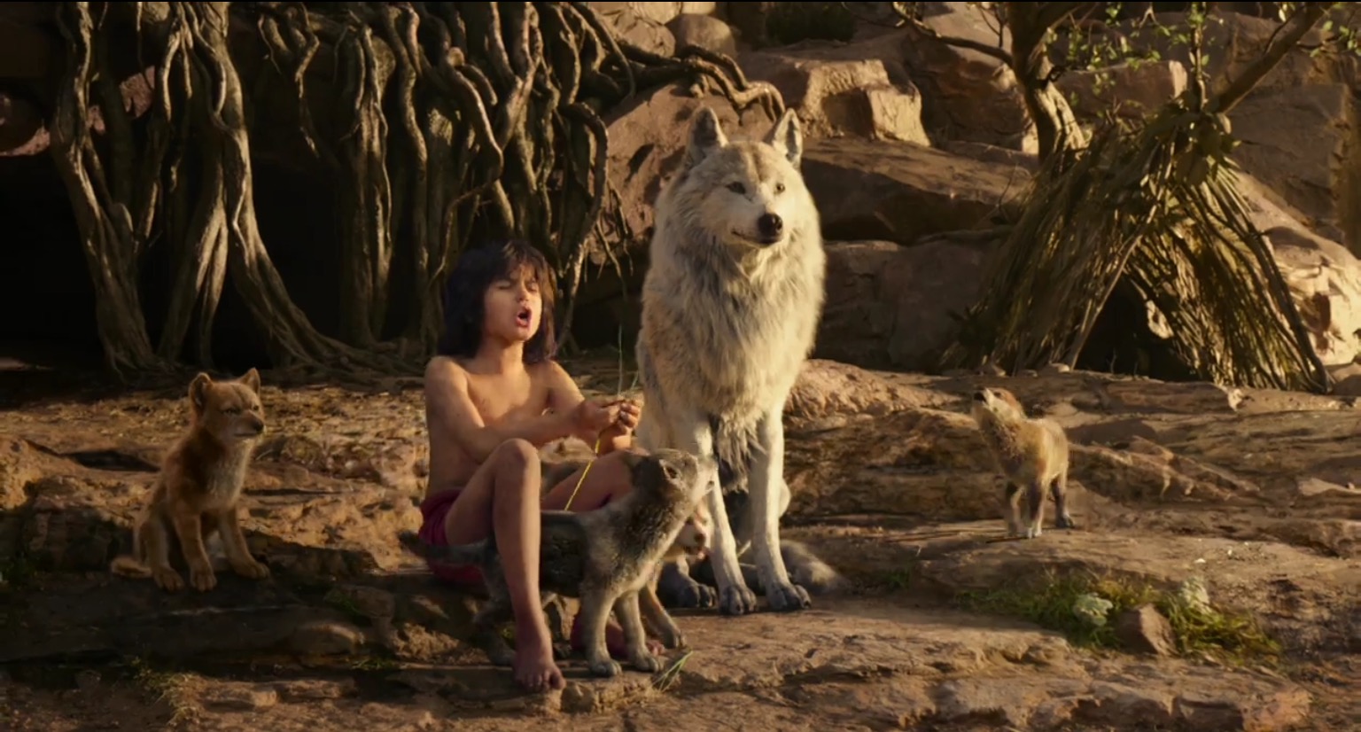 Nice wallpapers The Jungle Book (2016) 1536x826px