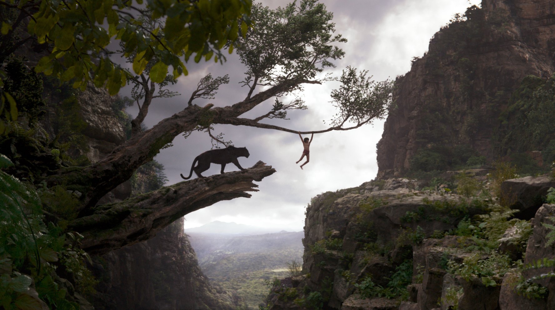 HQ The Jungle Book (2016) Wallpapers | File 279.36Kb