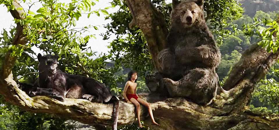 Amazing The Jungle Book (2016) Pictures & Backgrounds