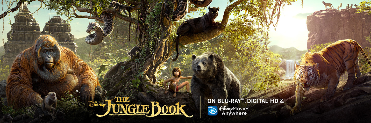 HD Quality Wallpaper | Collection: Movie, 1536x509 The Jungle Book