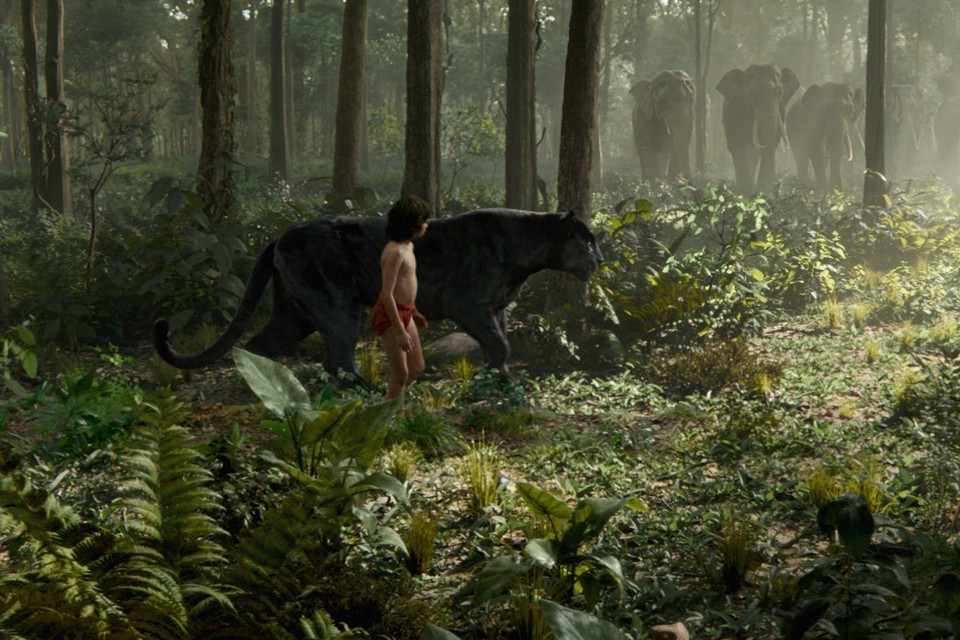 The Jungle #16.