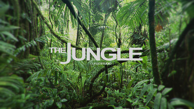 The Jungle Pics, Movie Collection