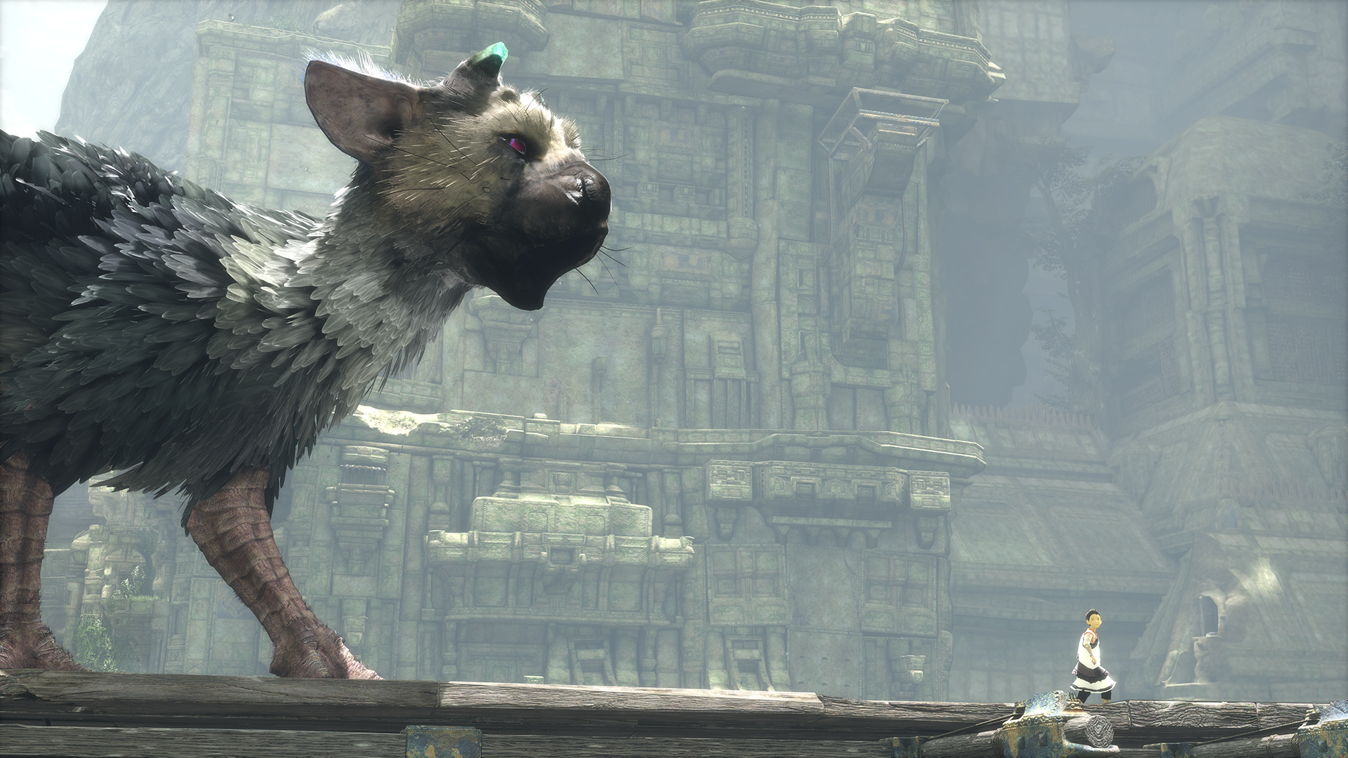 High Resolution Wallpaper | The Last Guardian 1920x1080 px