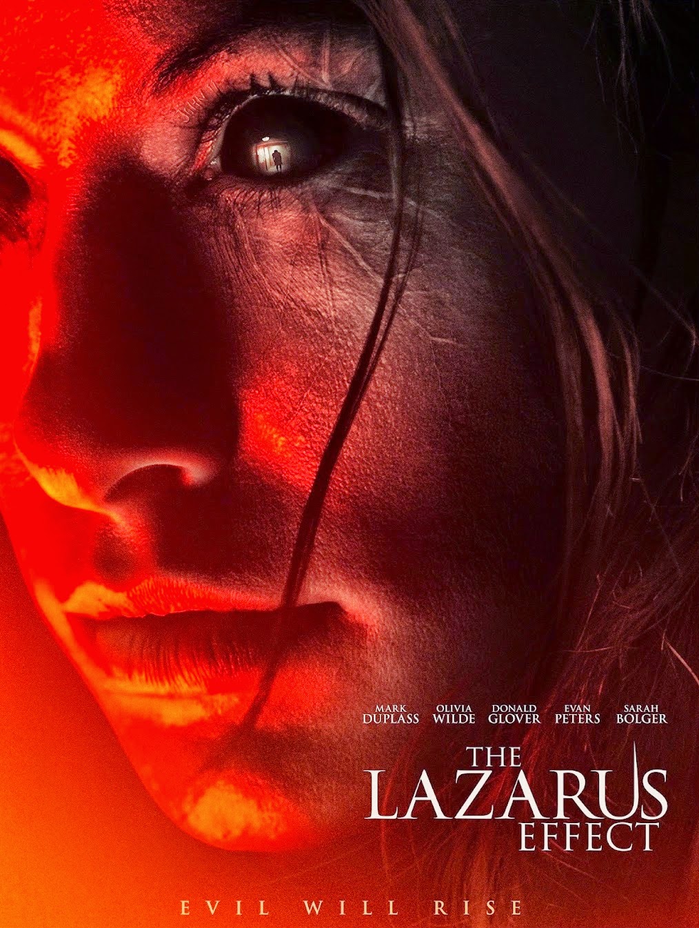 Nice wallpapers The Lazarus Effect 1014x1345px