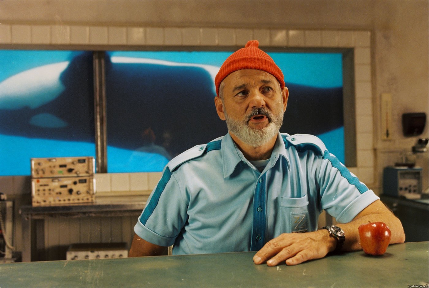 Amazing The Life Aquatic With Steve Zissou Pictures & Backgrounds