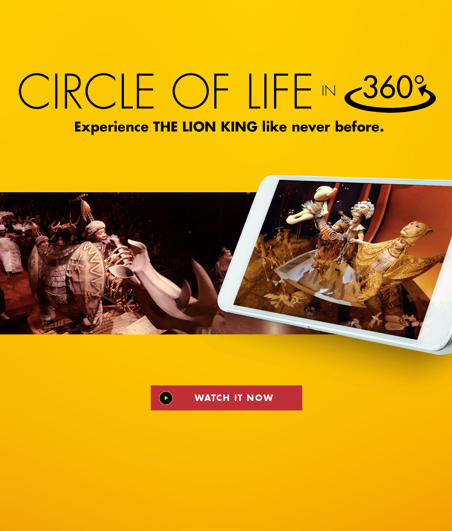 The Lion King Backgrounds, Compatible - PC, Mobile, Gadgets| 1536x1801 px