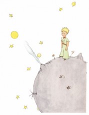 The Little Prince #21