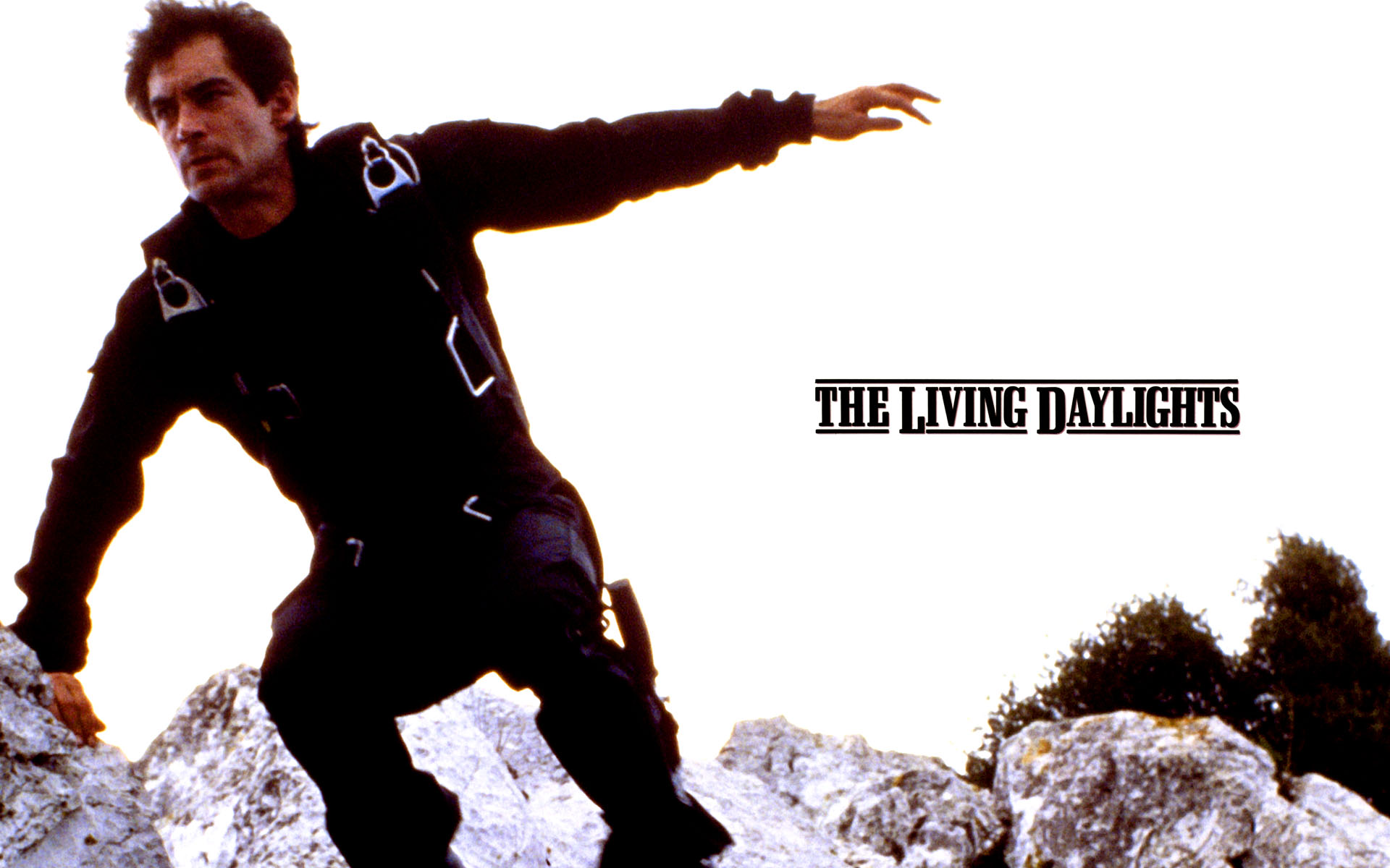 The Living Daylights Pics, Movie Collection