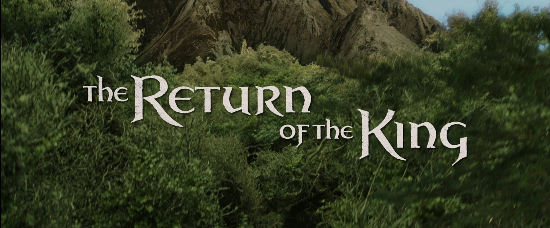 The Lord Of The Rings: The Return Of The King #9