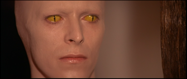 The Man Who Fell To Earth #19