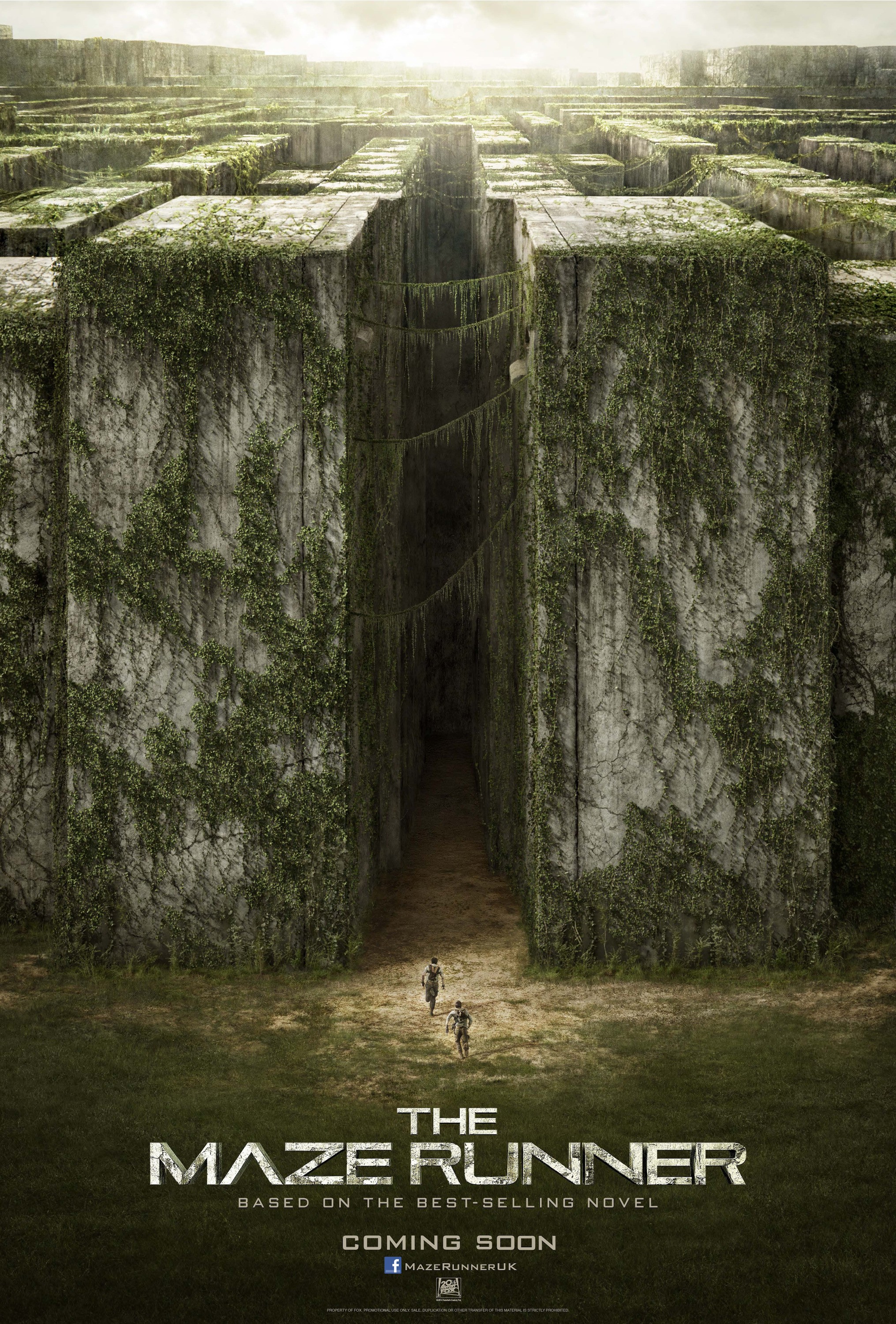 Nice wallpapers The Maze Runner 2031x3000px