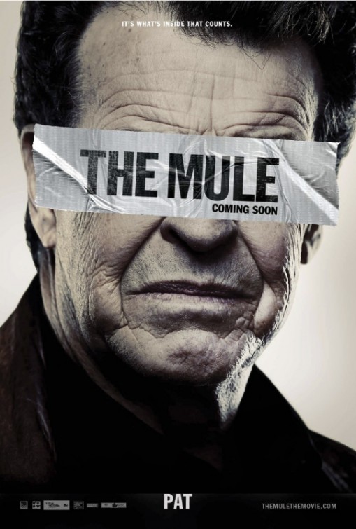 Nice Images Collection: The Mule Desktop Wallpapers