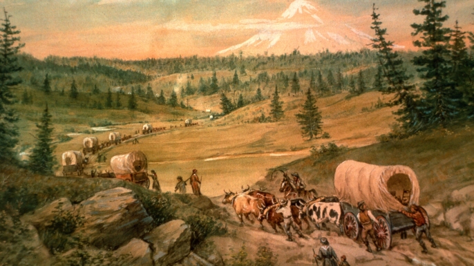 The Oregon Trail Pics, Video Game Collection