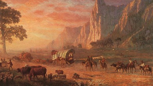HD Quality Wallpaper | Collection: Video Game, 531x298 The Oregon Trail