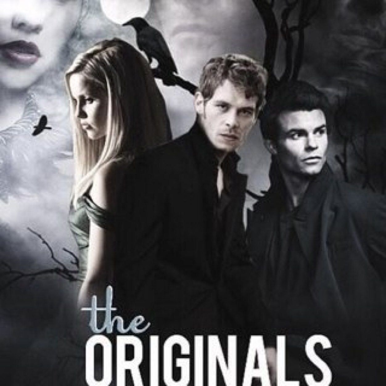 HD Quality Wallpaper | Collection: TV Show, 1252x1252 The Originals
