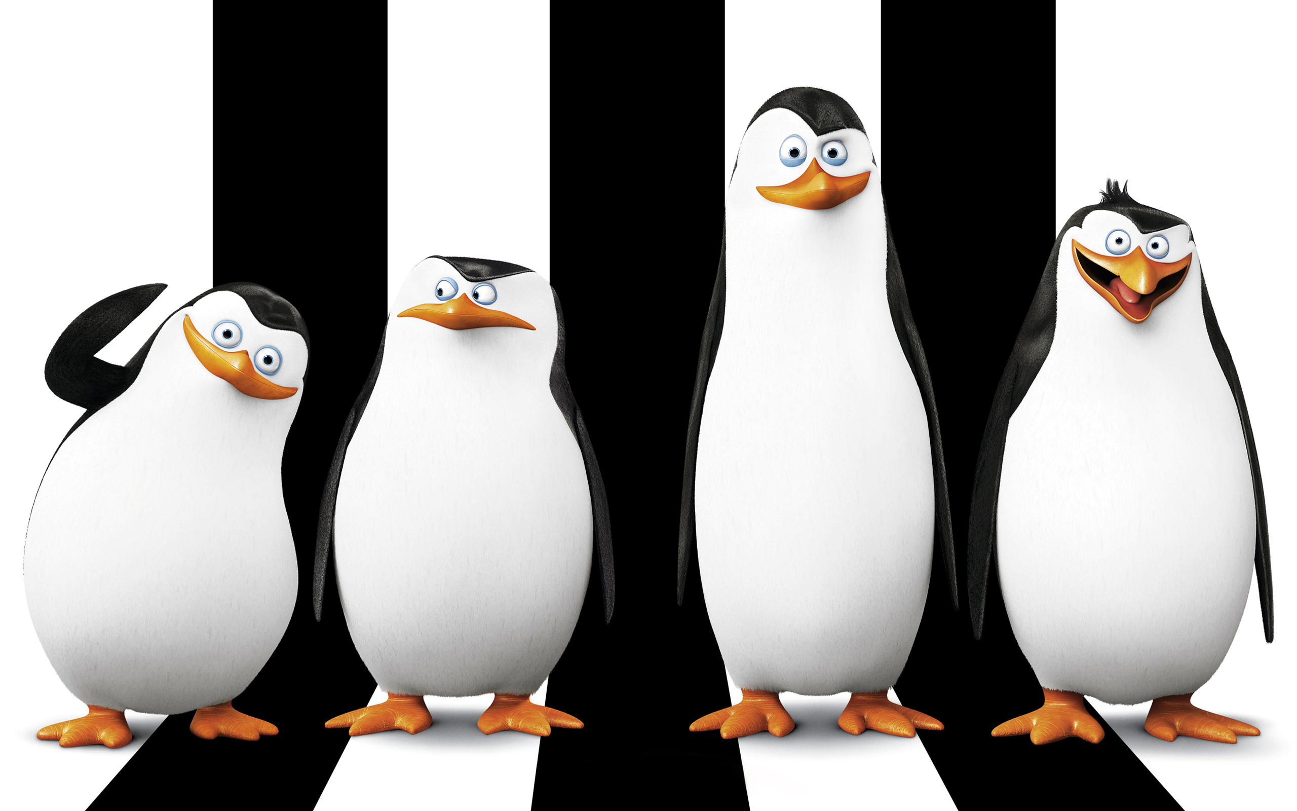 HD Quality Wallpaper | Collection: Cartoon, 2560x1600 The Penguins Of Madagascar