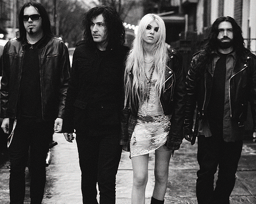 Nice wallpapers The Pretty Reckless 500x398px