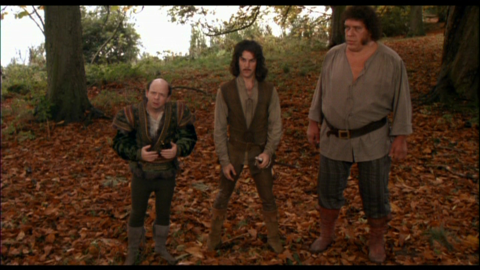 The Princess Bride Backgrounds on Wallpapers Vista