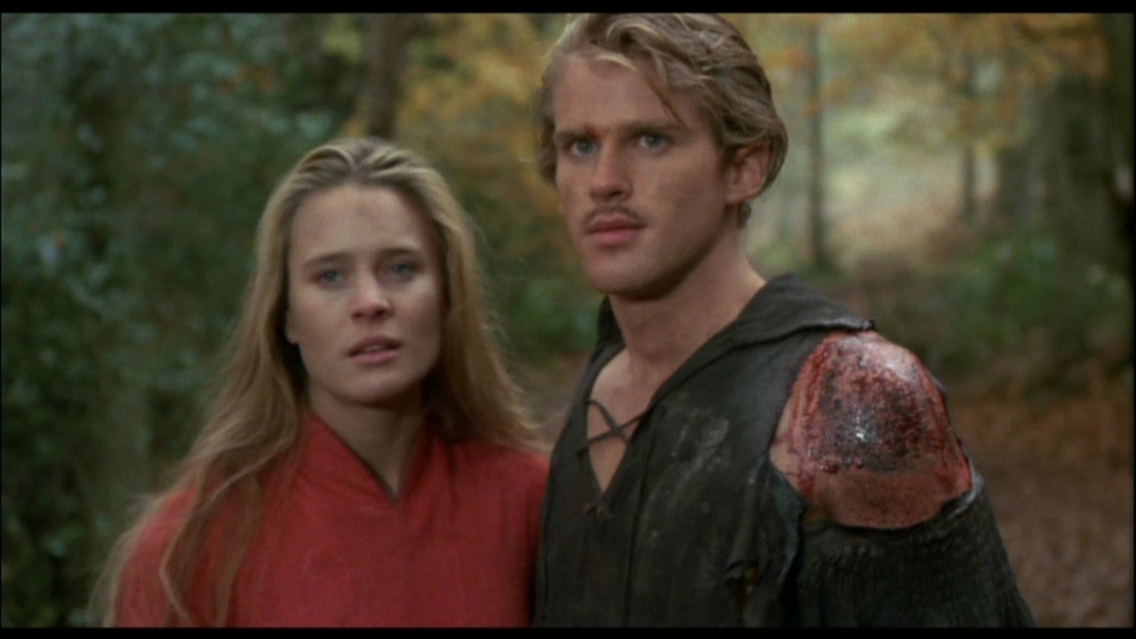 HD Quality Wallpaper | Collection: Movie, 1600x900 The Princess Bride