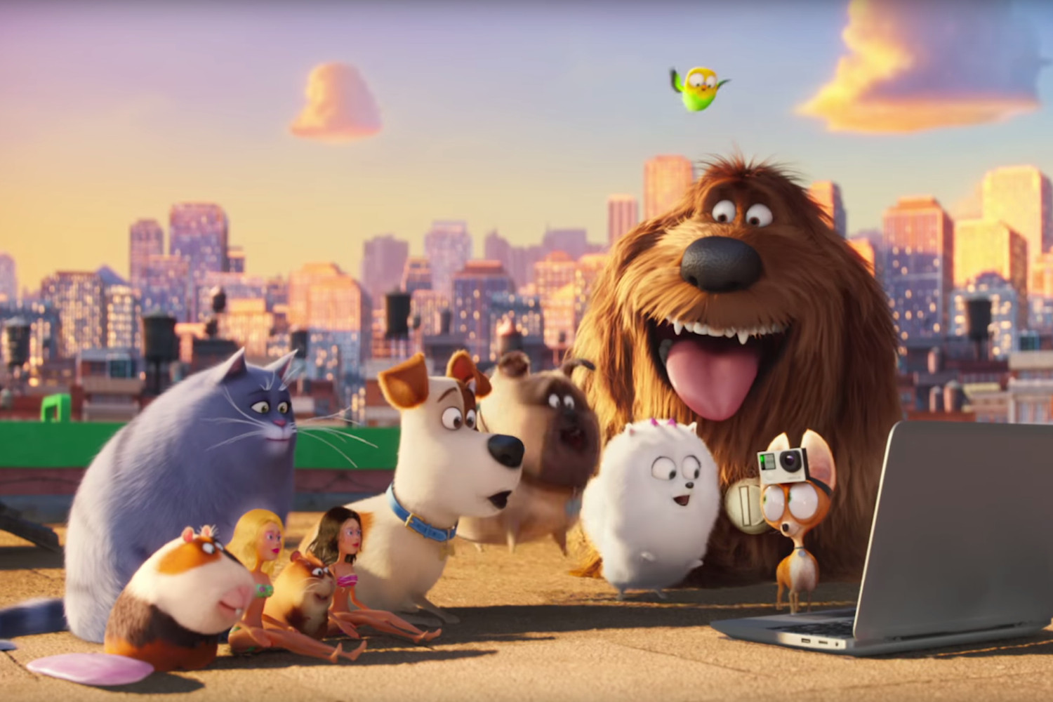 1500x1000 > The Secret Life Of Pets Wallpapers