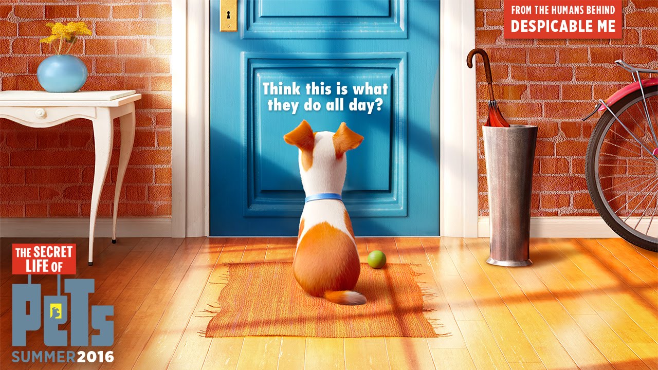 1280x720 > The Secret Life Of Pets Wallpapers