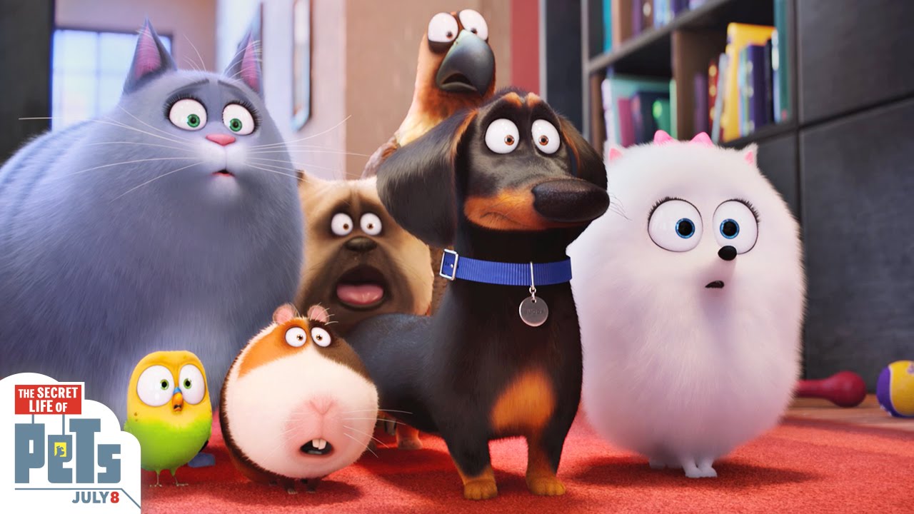 The Secret Life Of Pets Wallpapers Movie Hq The Secret Life Of