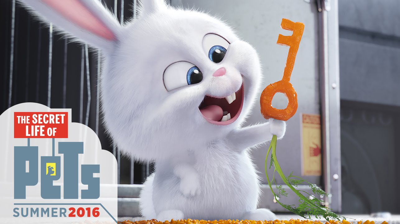 HD Quality Wallpaper | Collection: Movie, 1286x720 The Secret Life Of Pets