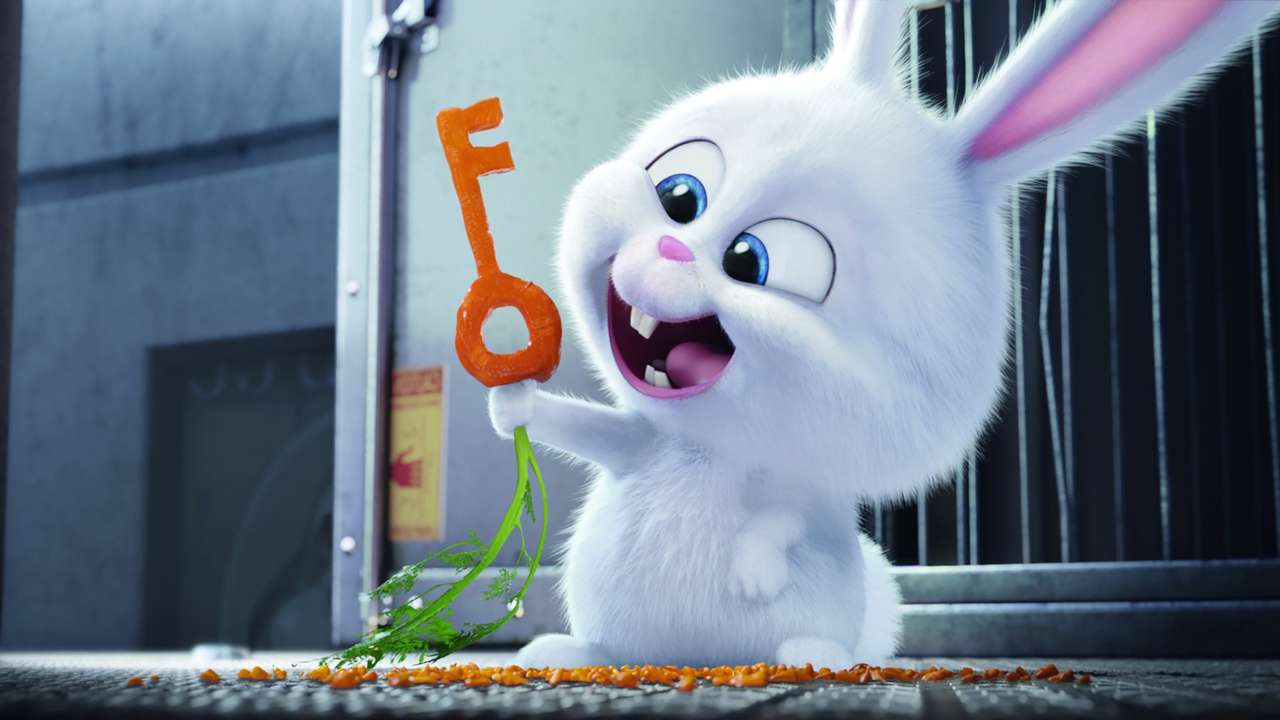 Images of The Secret Life Of Pets | 1280x720