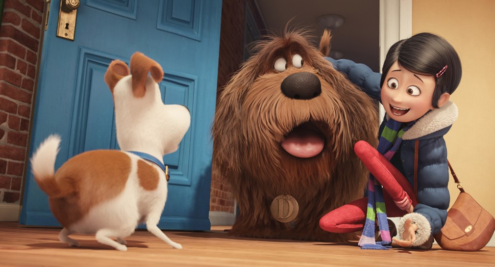 The Secret Life Of Pets Pics, Movie Collection