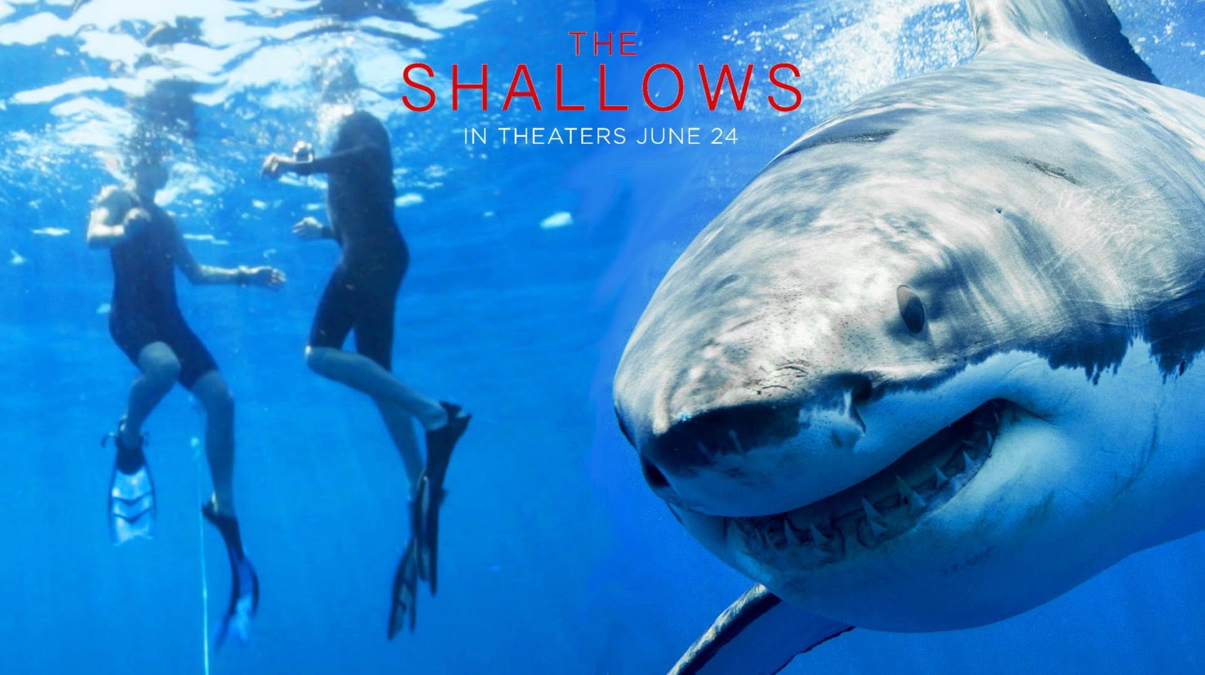 The Shallows Backgrounds, Compatible - PC, Mobile, Gadgets| 2344x1314 px