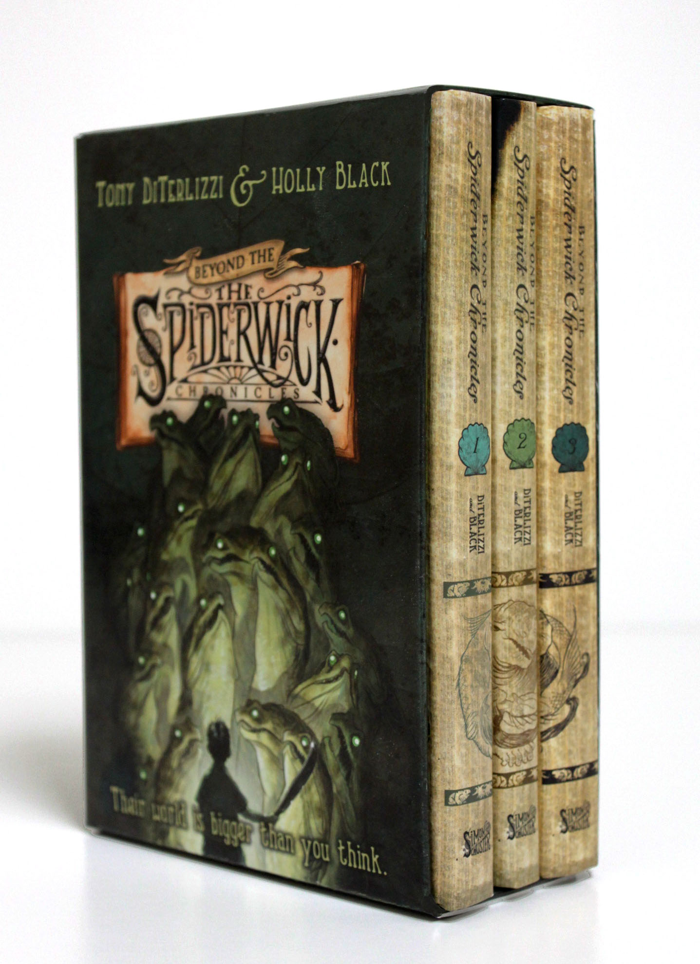 The Spiderwick Chronicles #22