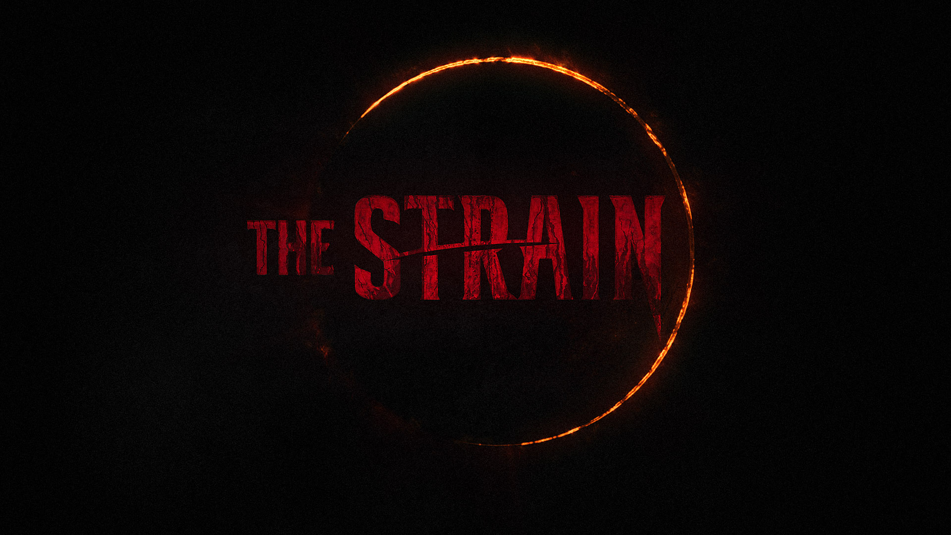 The Strain #17