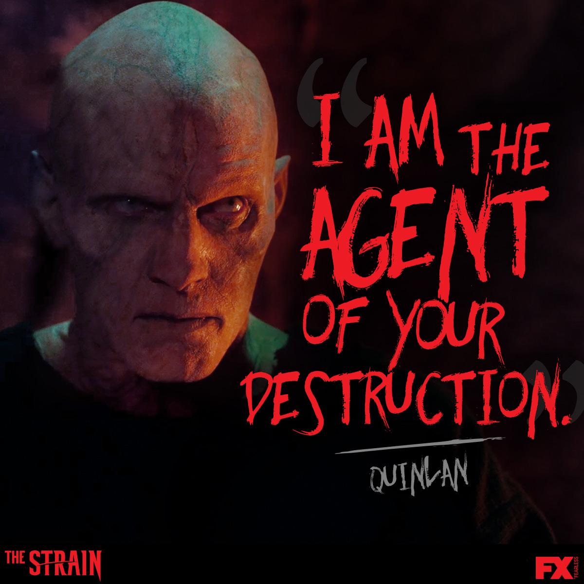 Amazing The Strain Pictures & Backgrounds