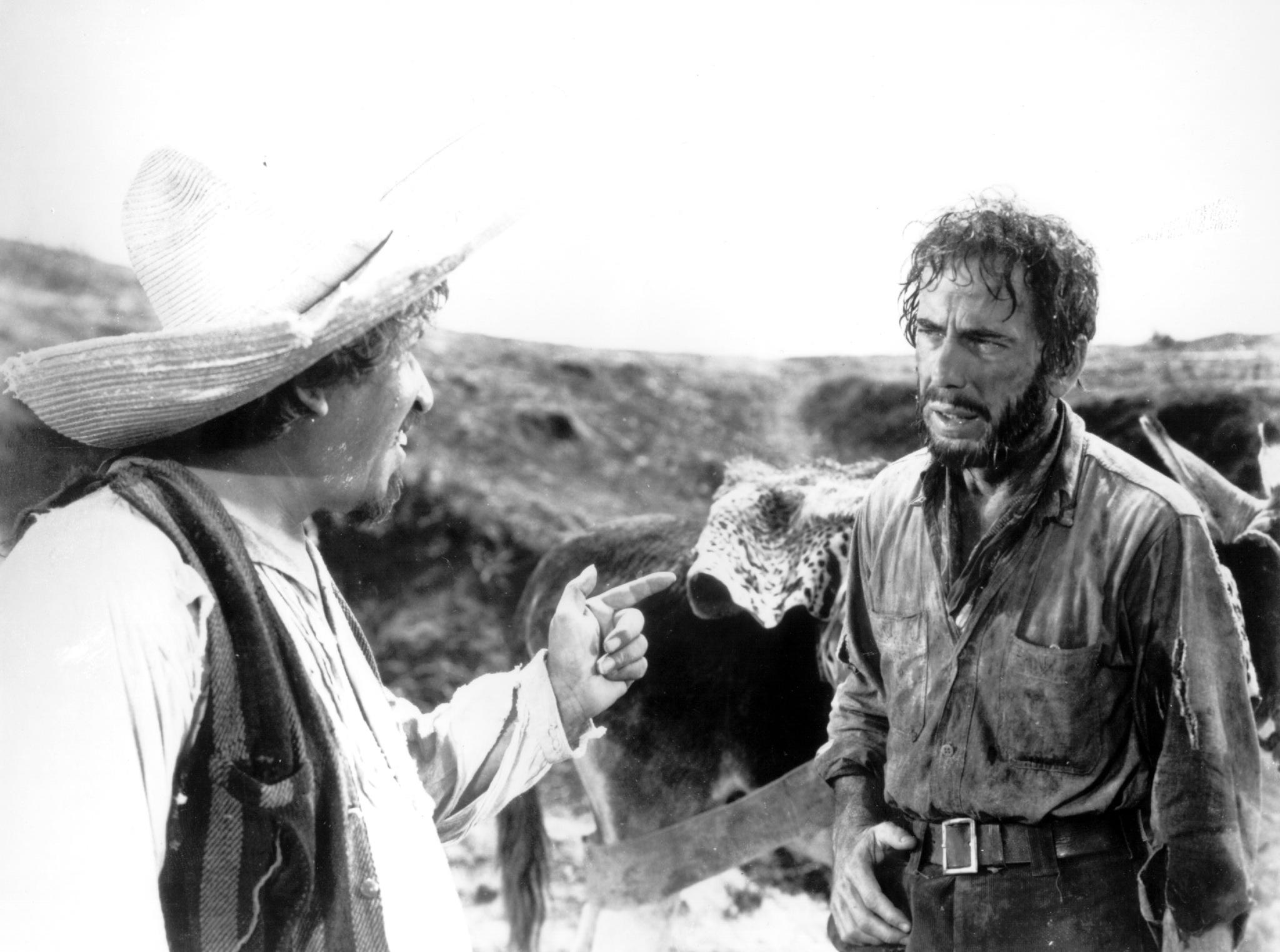 The Treasure Of The Sierra Madre #8