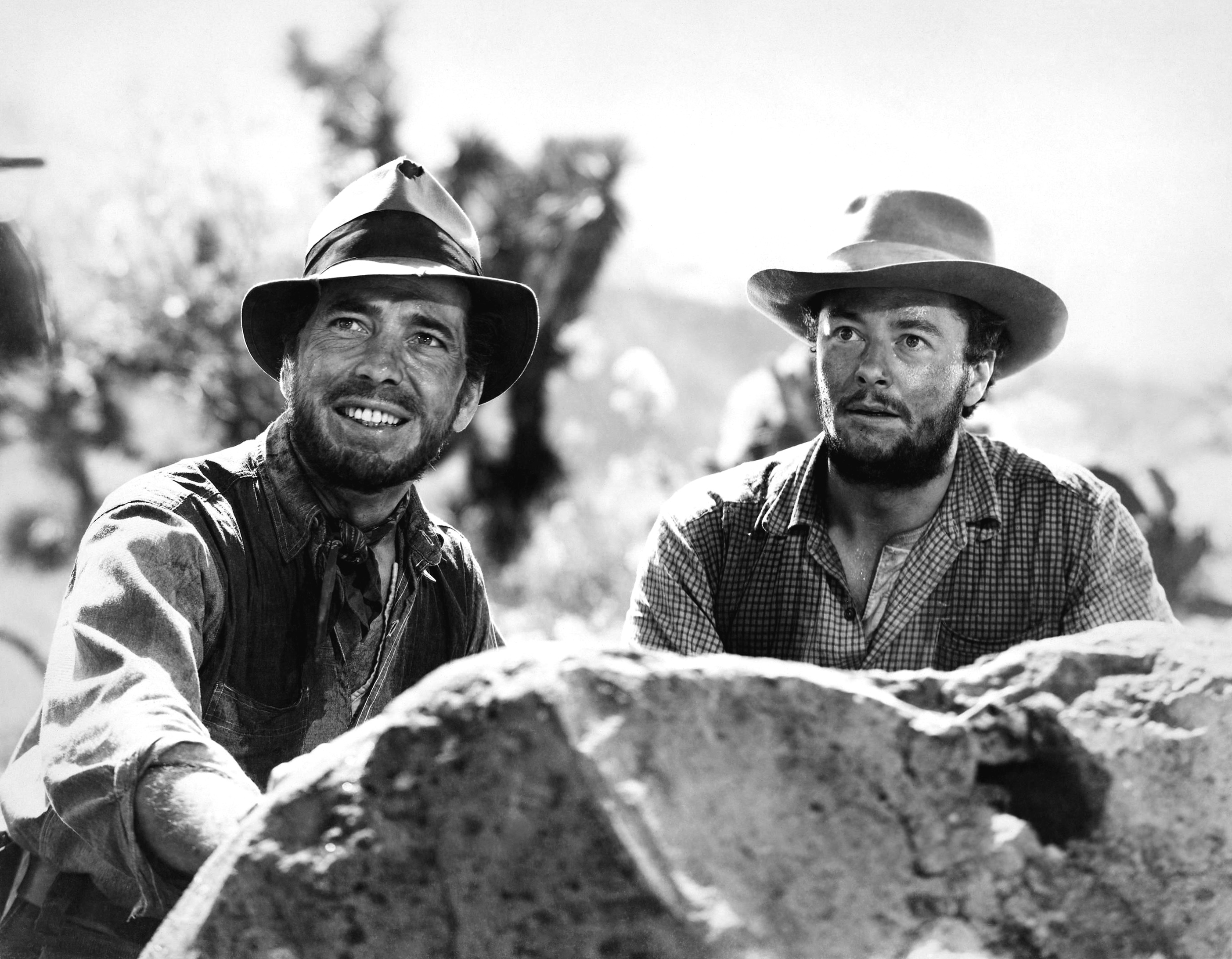 The Treasure Of The Sierra Madre #11