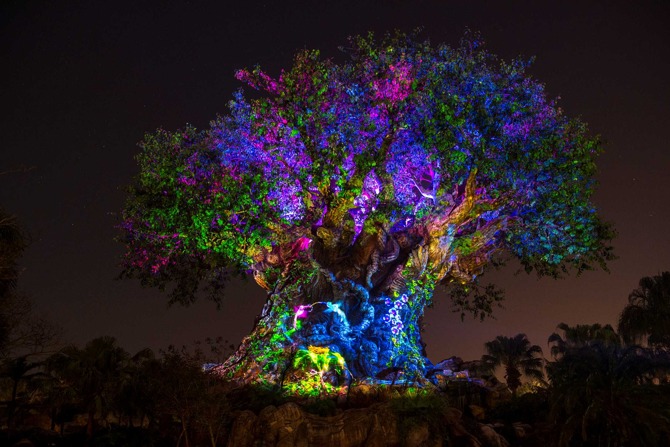 The Tree Of Life #8