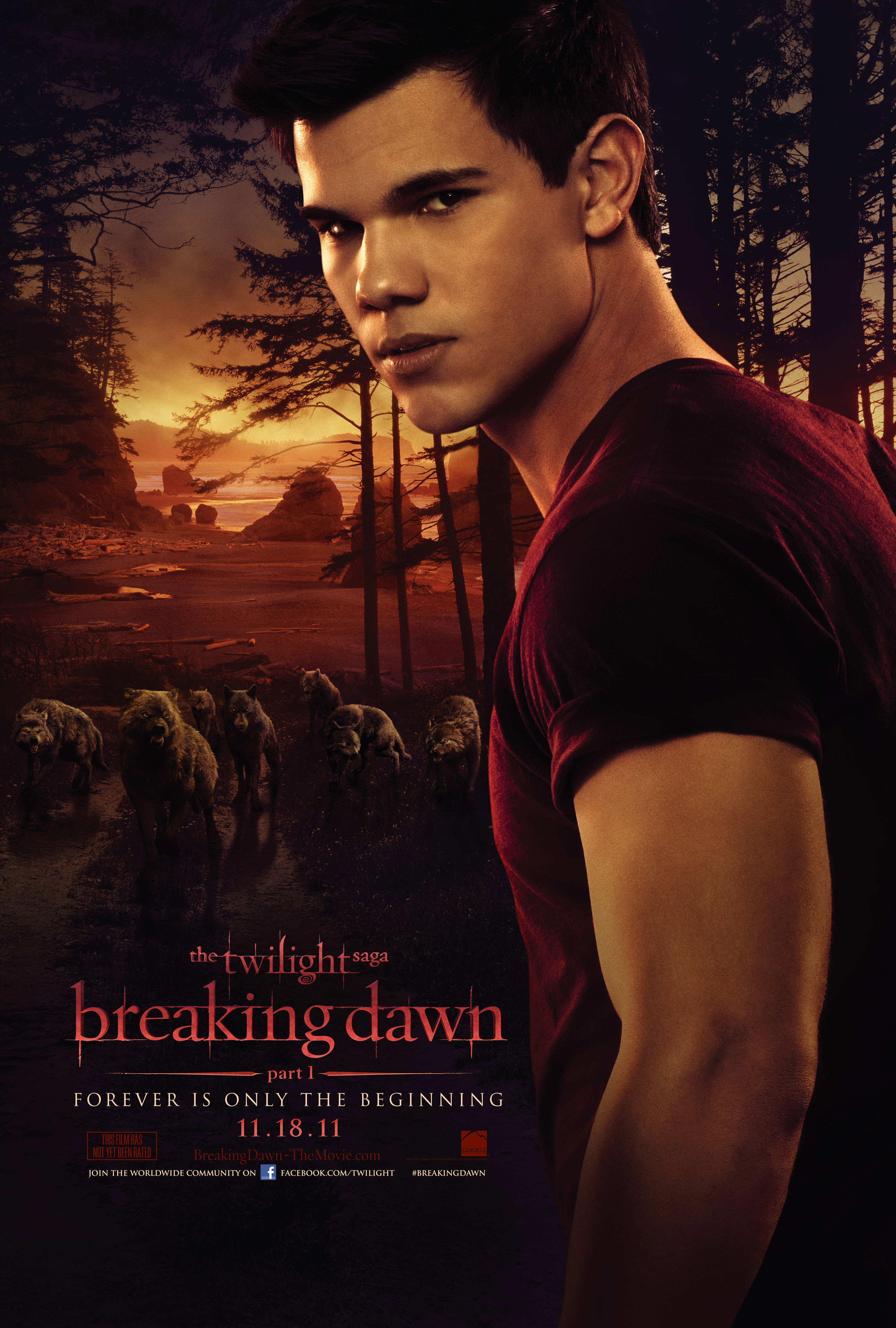 The Twilight Saga: Breaking Dawn - Part 1 #10