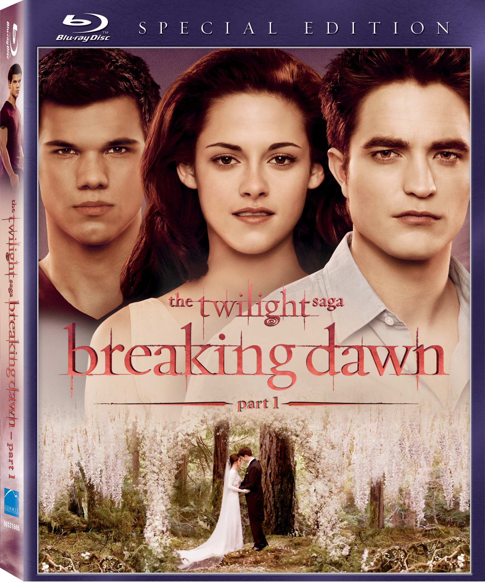 The Twilight Saga: Breaking Dawn - Part 1 #9