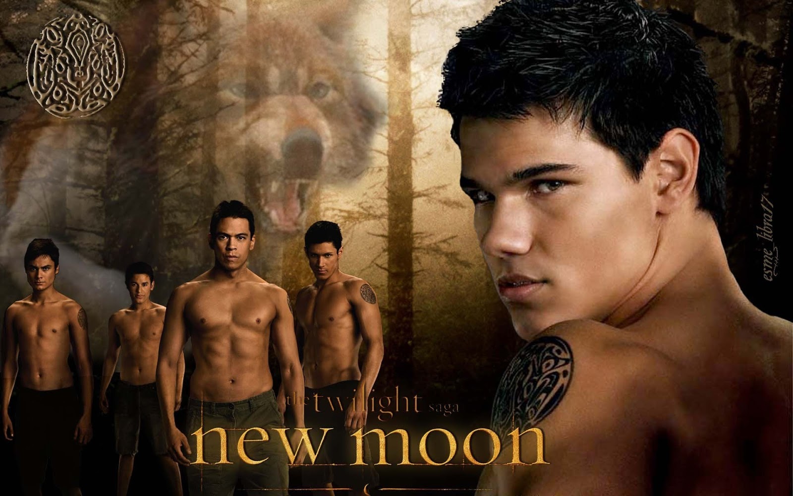 High Resolution Wallpaper | The Twilight Saga: New Moon 1600x1000 px