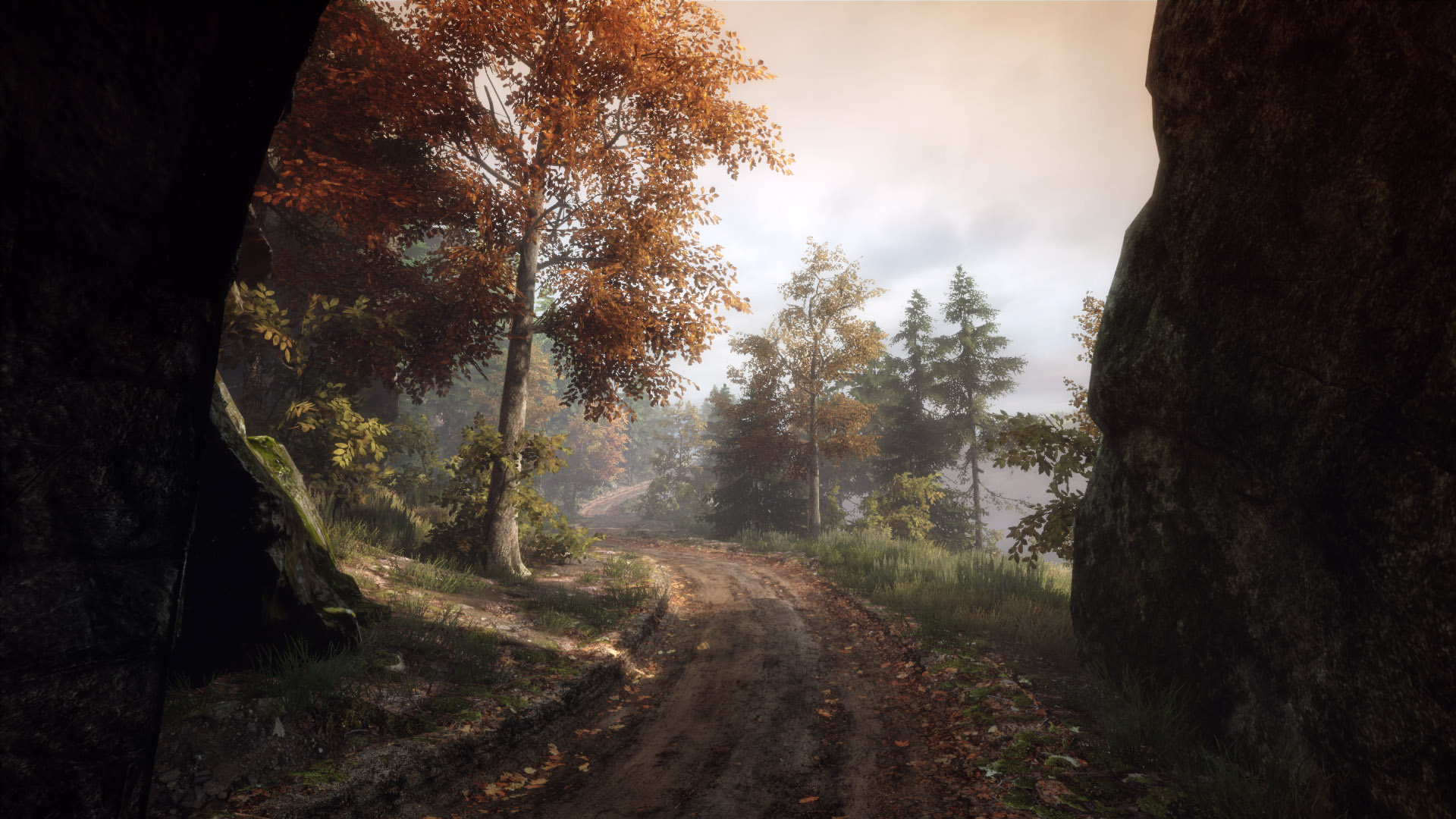Images of The Vanishing Of Ethan Carter  | 1920x1080