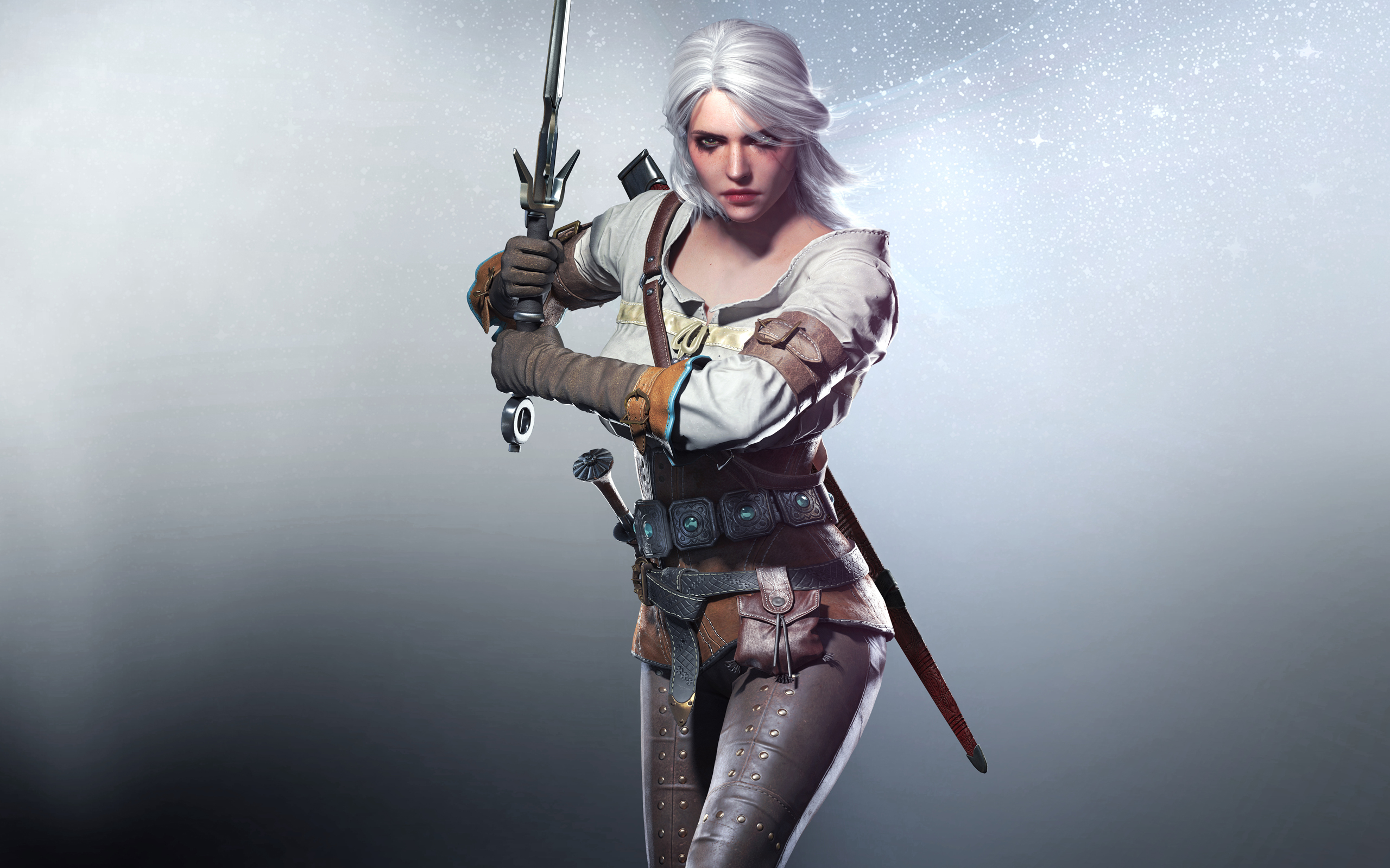 High Resolution Wallpaper | The Witcher 2560x1600 px