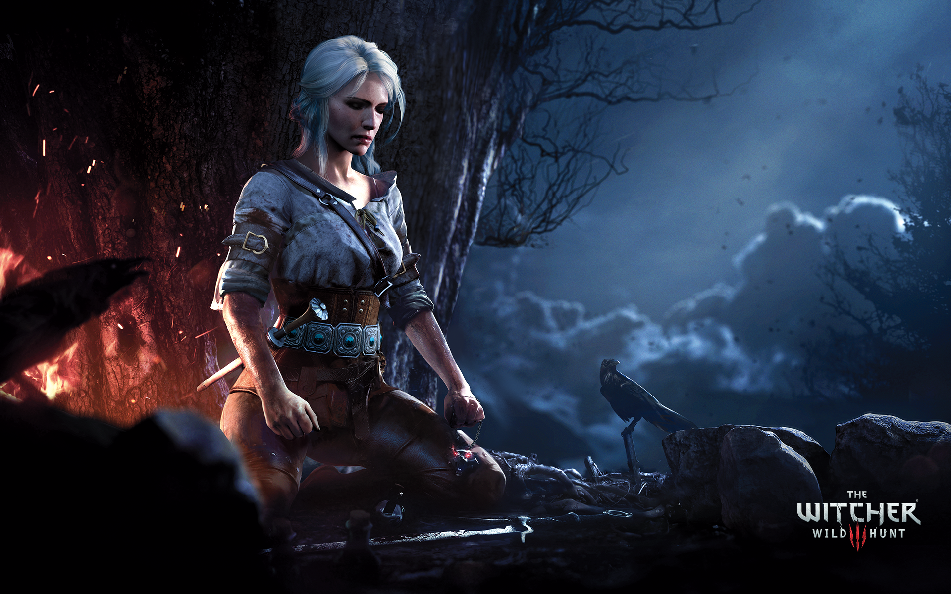 The Witcher 3: Wild Hunt Pics, Video Game Collection