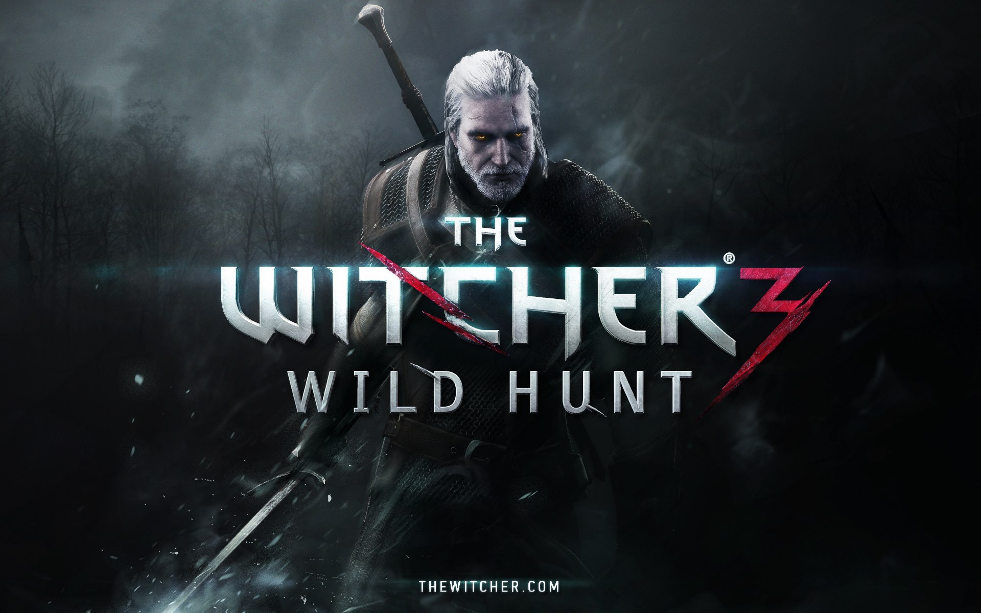 The Witcher 3: Wild Hunt #19