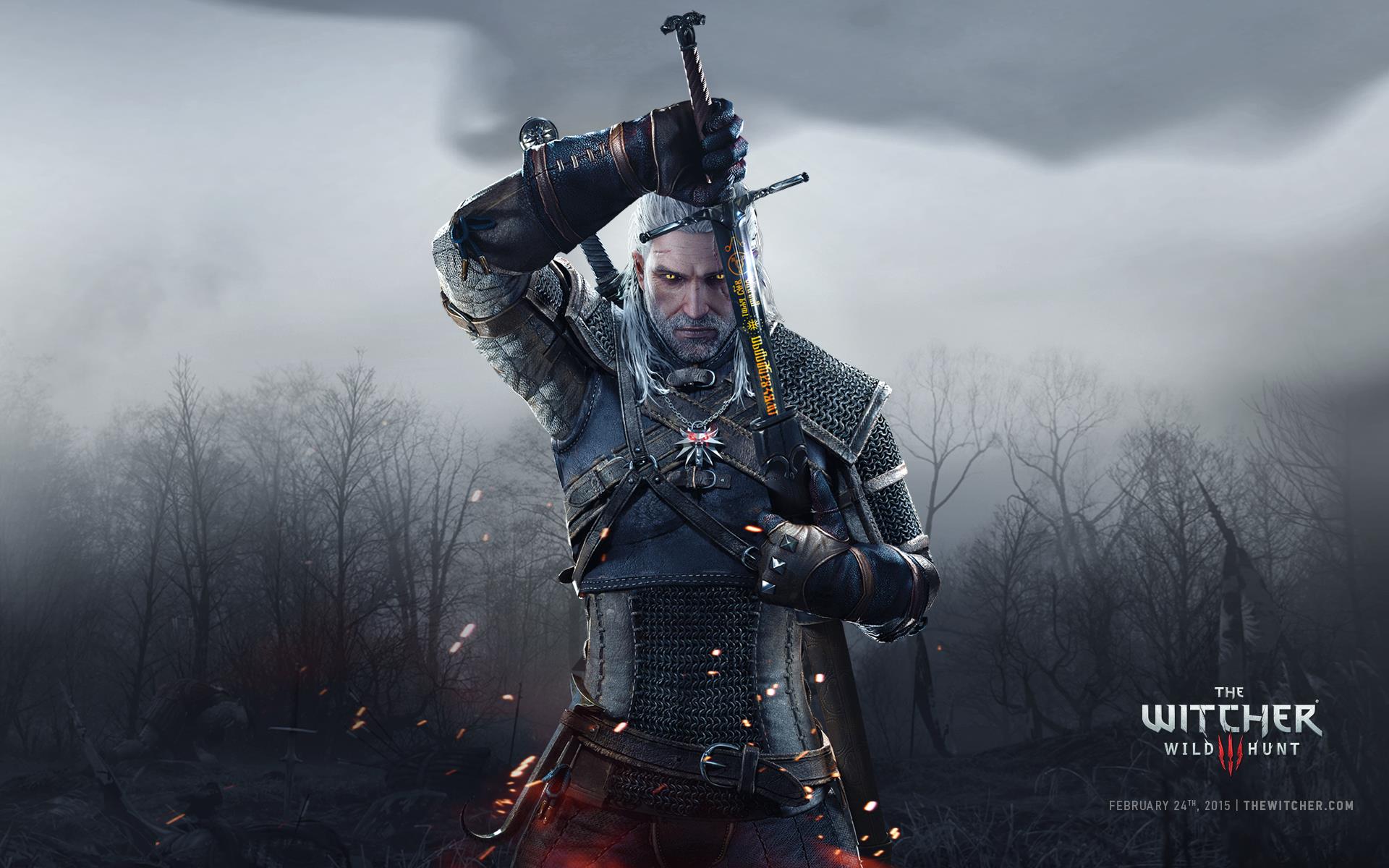 The Witcher Pics, Video Game Collection