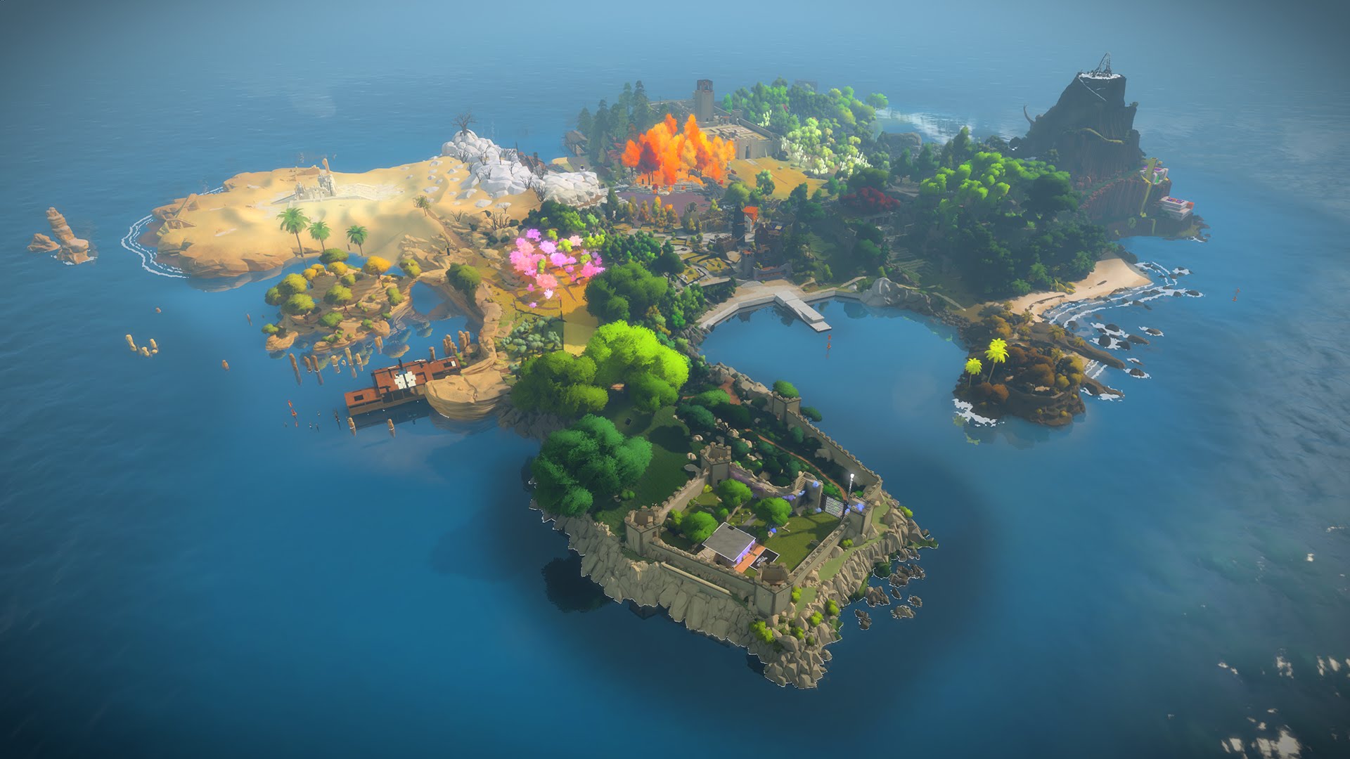 Amazing The Witness Pictures & Backgrounds
