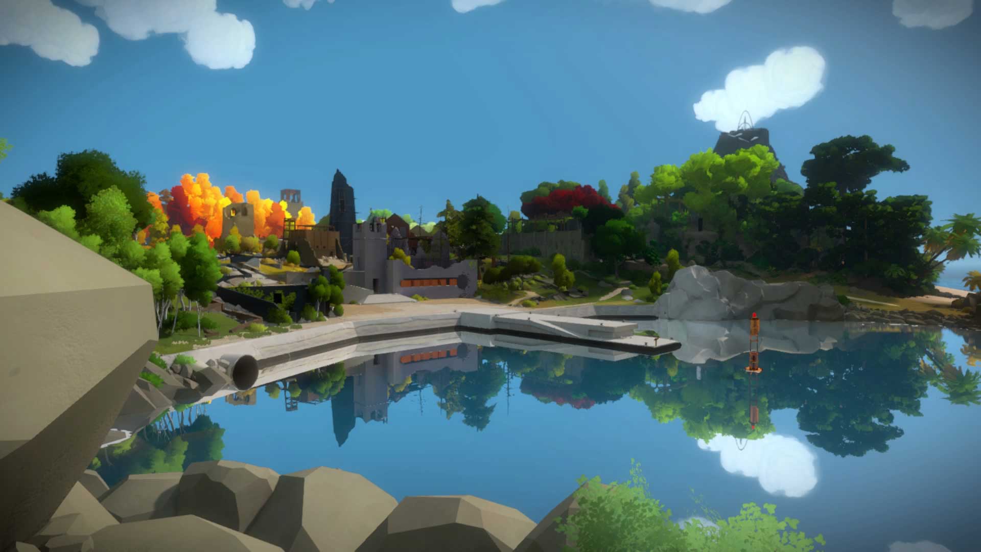 The Witness #9